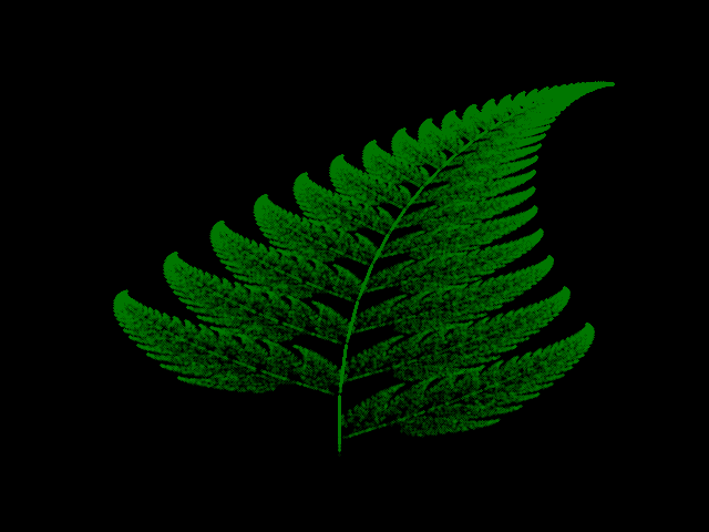 Barnsley's Leaf