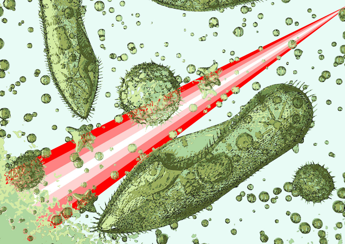 Overcoming Challenges in Raman Spectroscopy for Bioprocessing