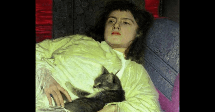 Why you're a sad and lonely cat lady?